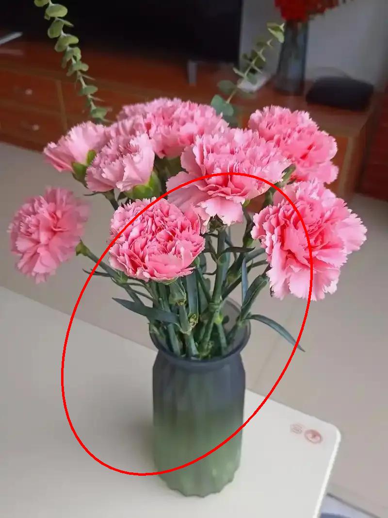 我是58岁的独居老太太，奉劝大家一件事，无论是独居还是和家人住，这件事一定要注意