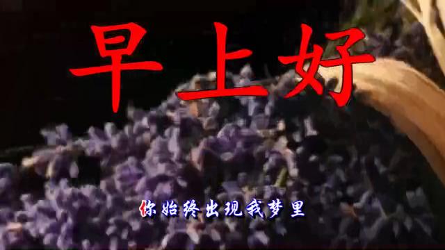 爱的世界只有你~祁隆VS乐凡(DJcandyMix)合唱