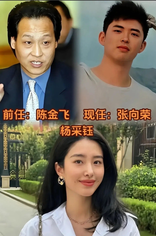 这8位美女明星眼光真的太好了，不管前任还是现任都帅呆了！眼光很绝的杨采钰。