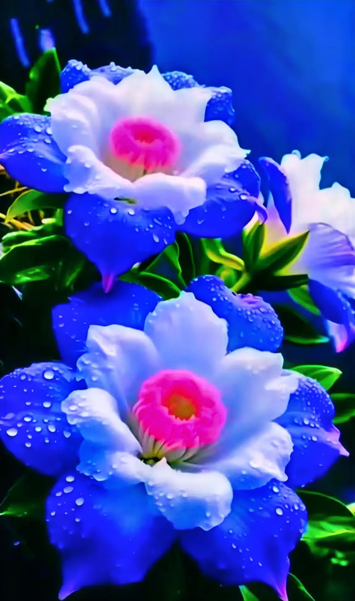 人老了,最值钱的是什么呢?人老了才懂！真正值钱的不是存款和房子，而是这3样，有