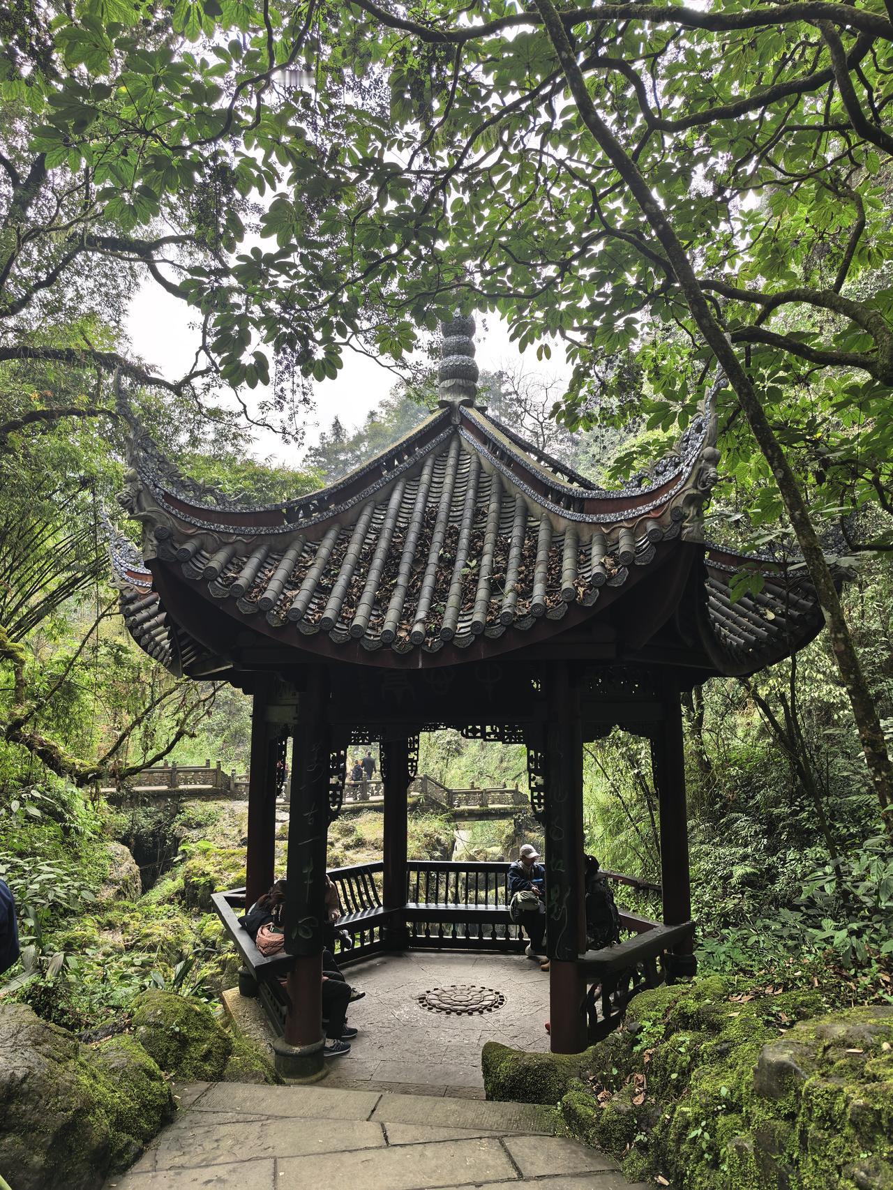 不小心把公爹的医保卡弄丢了，被老公在路上叨叨了至少半个小时。说我不该去退款，