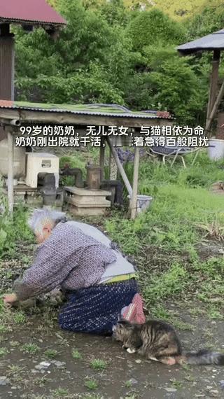 9月2日发布，一99岁无儿无女的老奶奶预感自己时日无多，带着猫咪摘完最爱