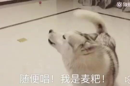 74271514312071795.jpeg?id=0