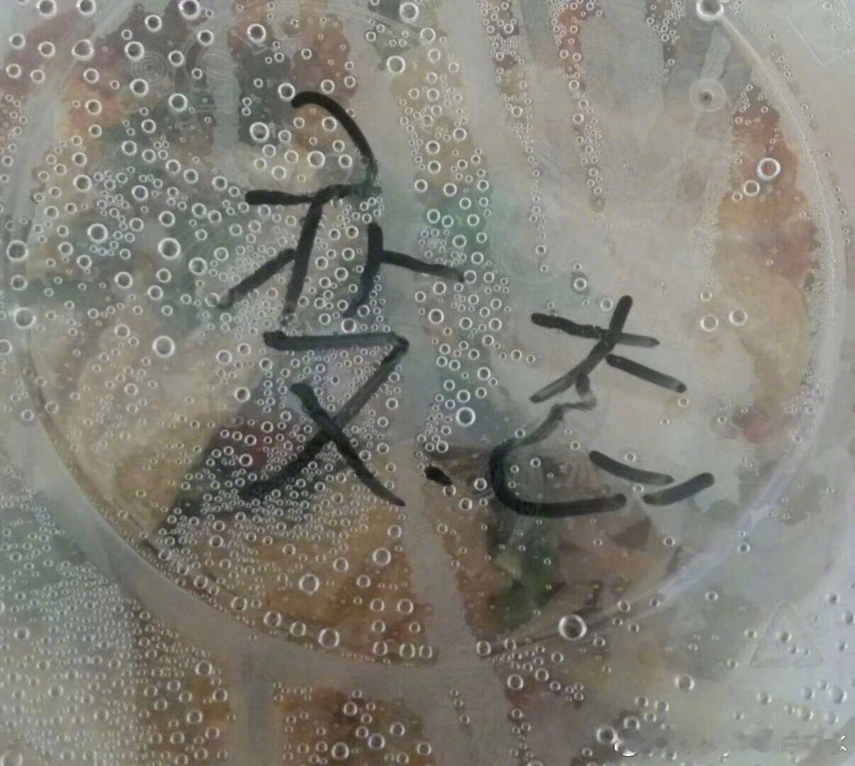 “点个外卖居然被骂变态？哈哈哈你们怎么可以骂人呢！”