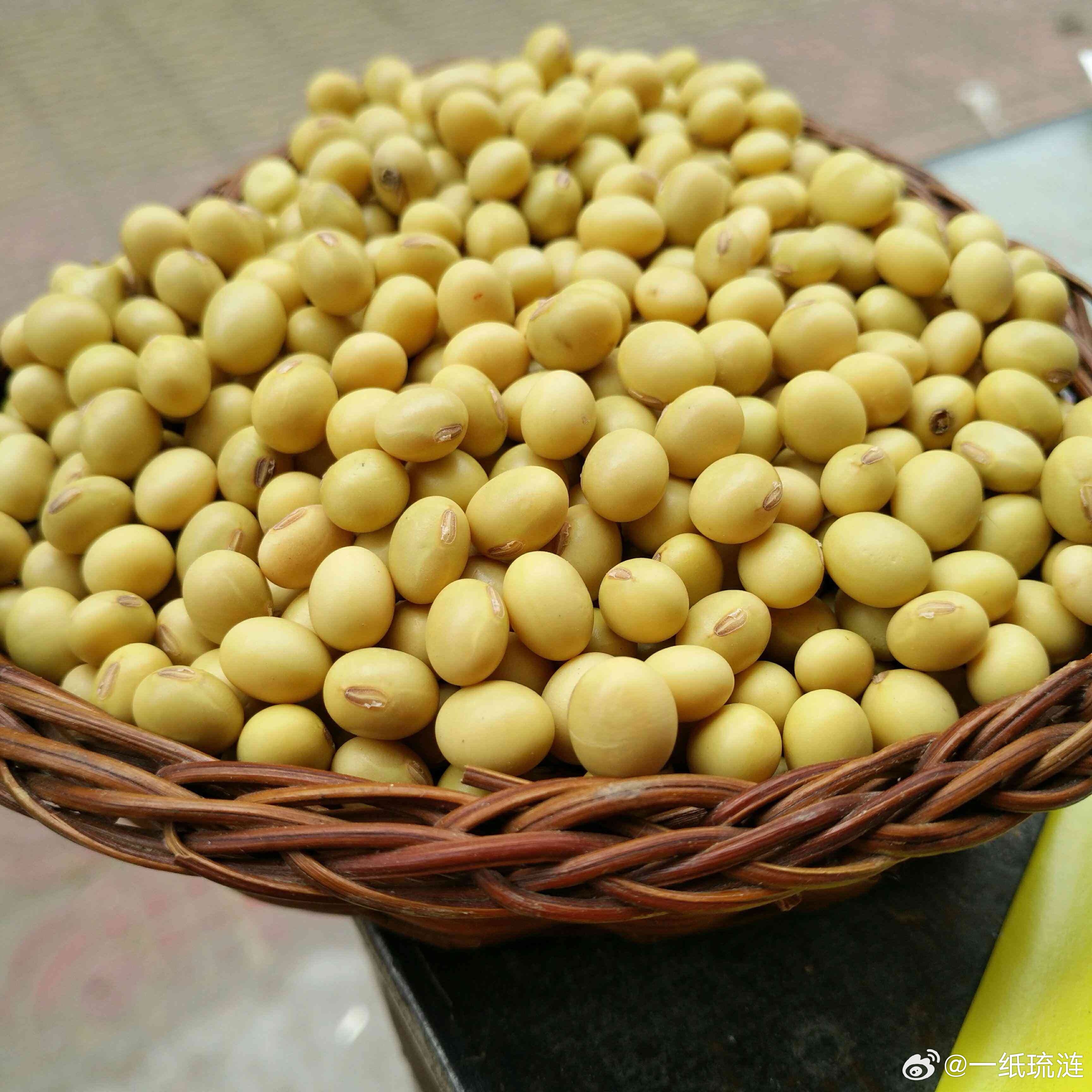 转基因大豆的大量进口，无论食用，还是其它用途对中国百姓有无危害，难道我们只有这一