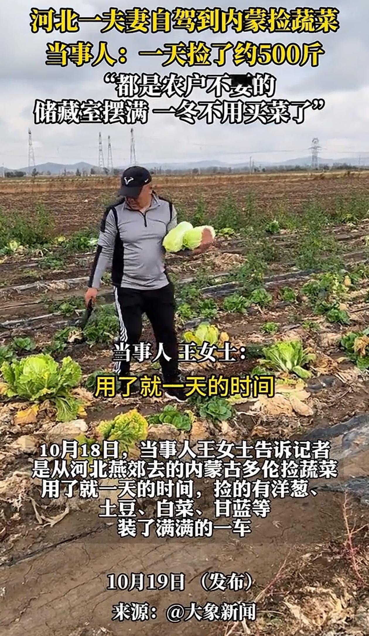 这趟真值了！河北燕郊，夫妻俩自驾去内蒙古玩，本想着看一下辽阔草原的风景，没想到回