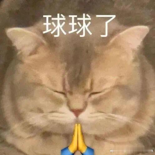 我真的很烦为什么虞书欣前后两部在爱奇艺播的剧都是一样，不说播出时间让观众各种猜测