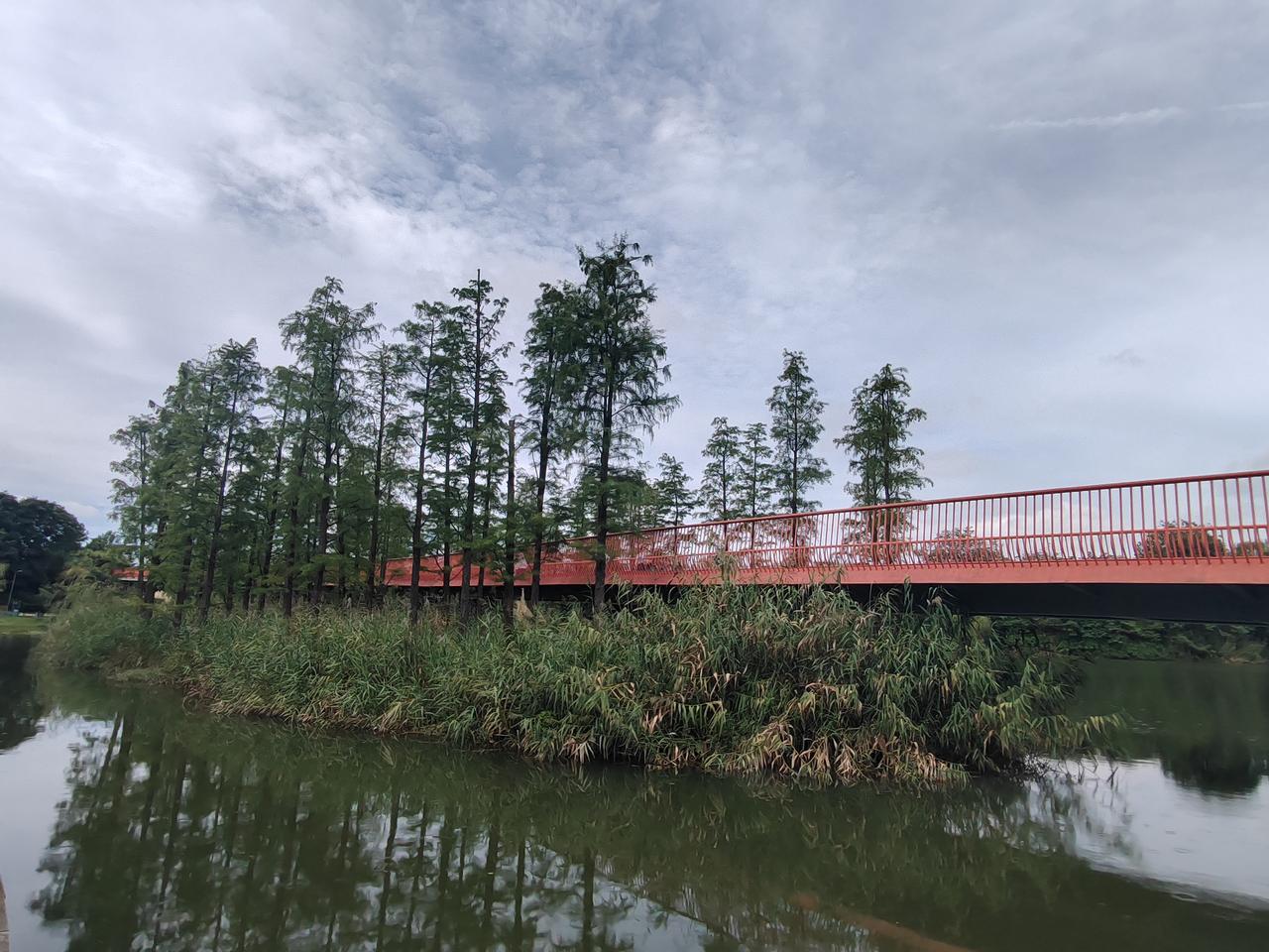 我完全同意高铁卖站票的做法，之前刷到好多人吐槽无座票和二等座同价不合理，说花一样
