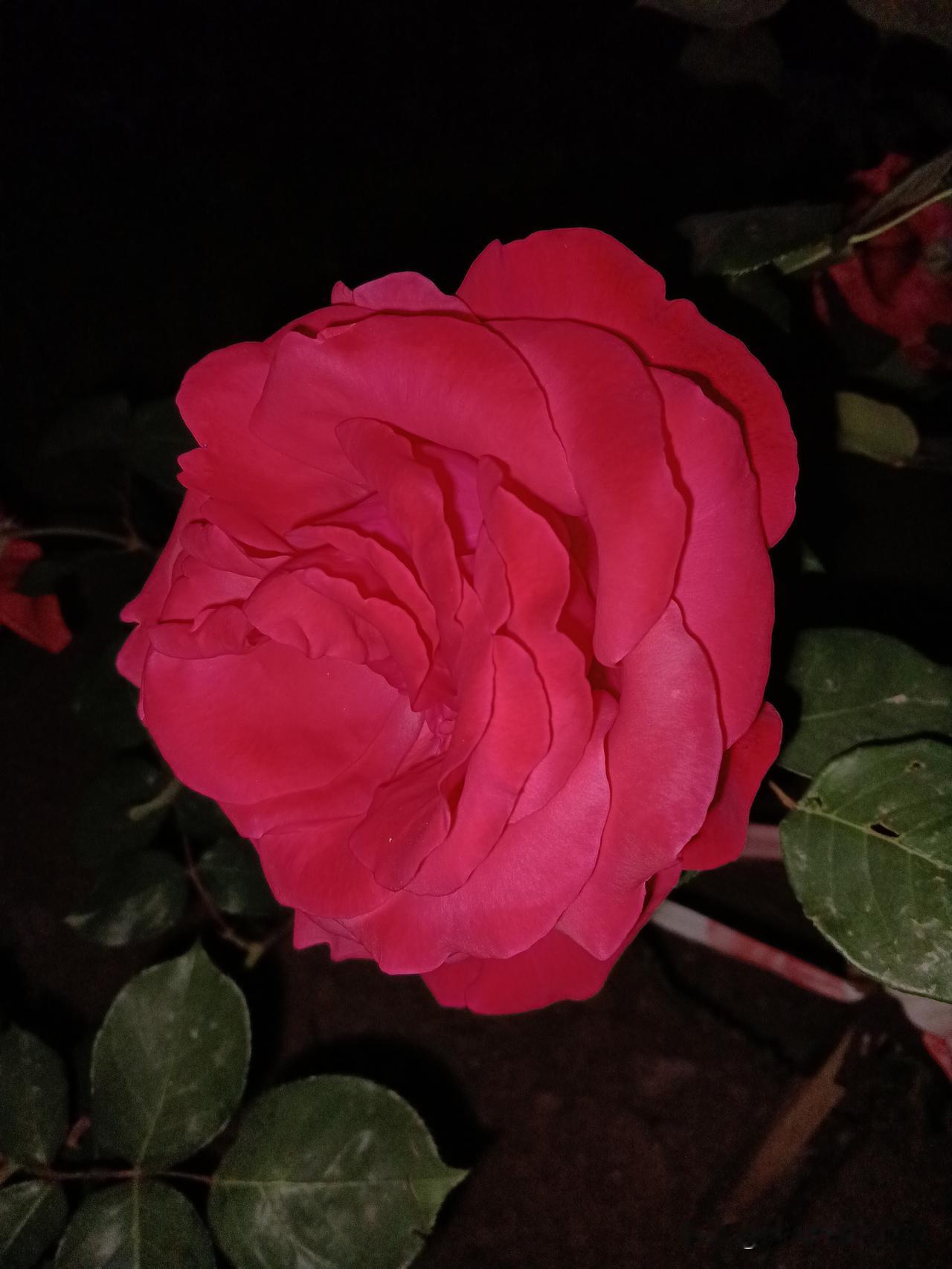 老奶奶的识人术：1，耳朵大的人，有福。2，眼睛大的人，富贵。3，腰长腿短