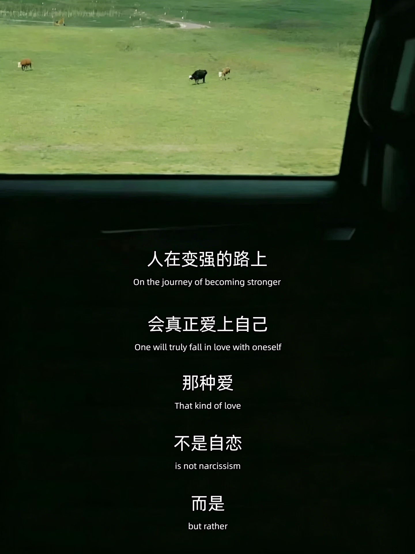 这段话好通透啊