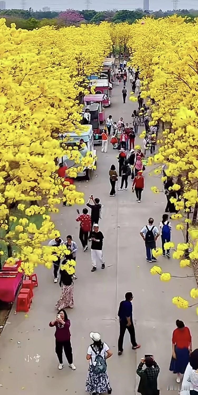 女孩儿和男朋友谈三年恋爱了，两人都有稳定的工作，都去过对方家里，两家家长也在一起