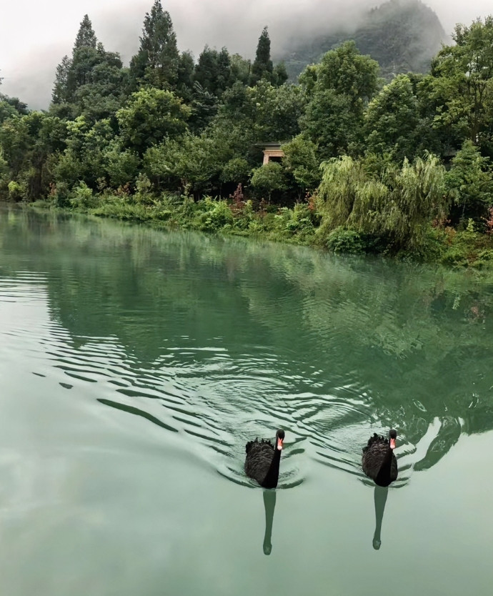 做父母的一定要告诉自己的孩子：年轻时不结婚不要孩子，看起来是很轻松、潇洒，没