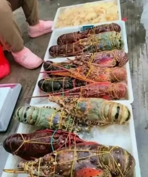 痛风啊，抱怨着就想吃碗大米饭