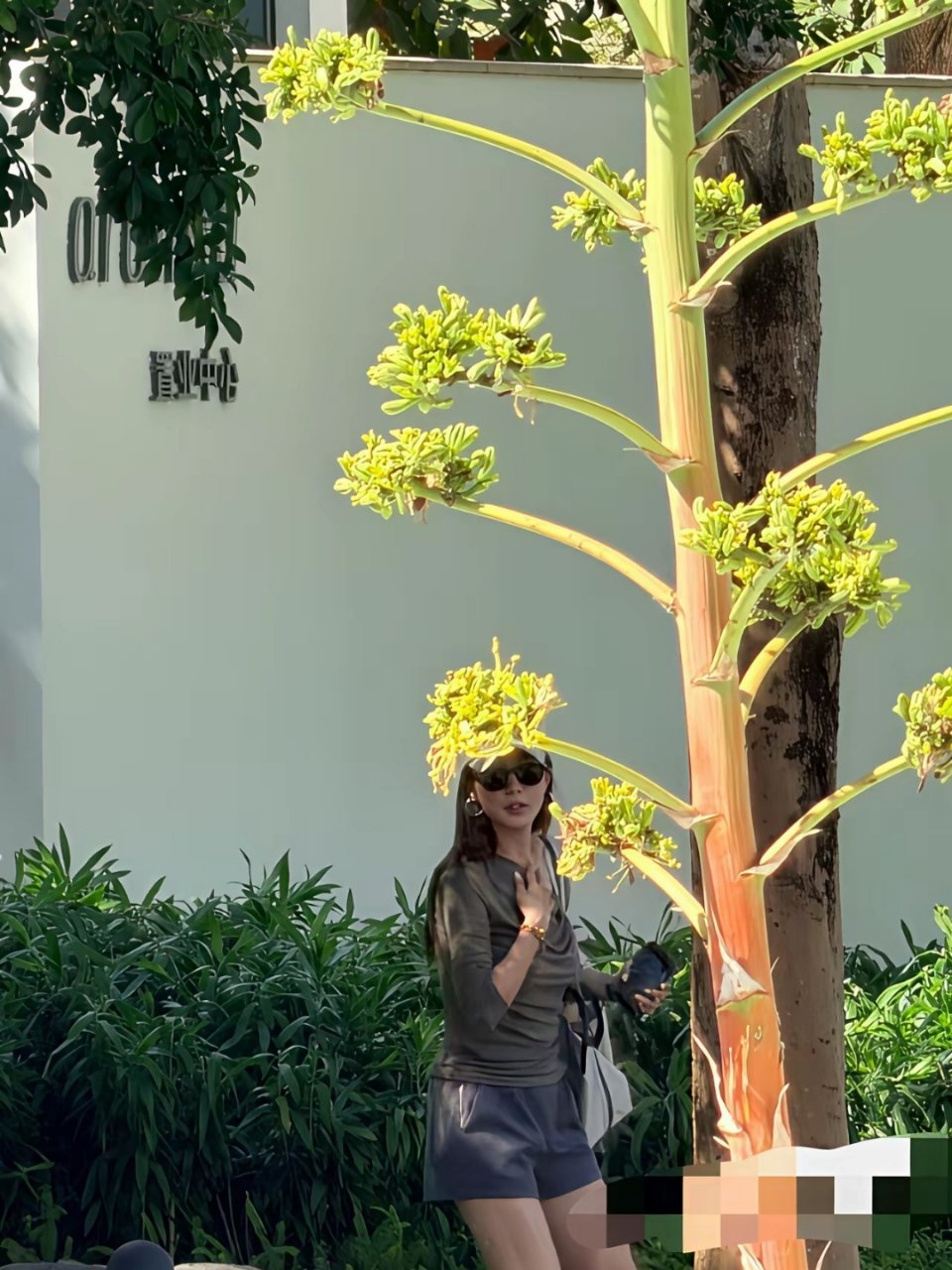 三亚偶遇丫丫，她以前挺黑的，咋突然这么白了