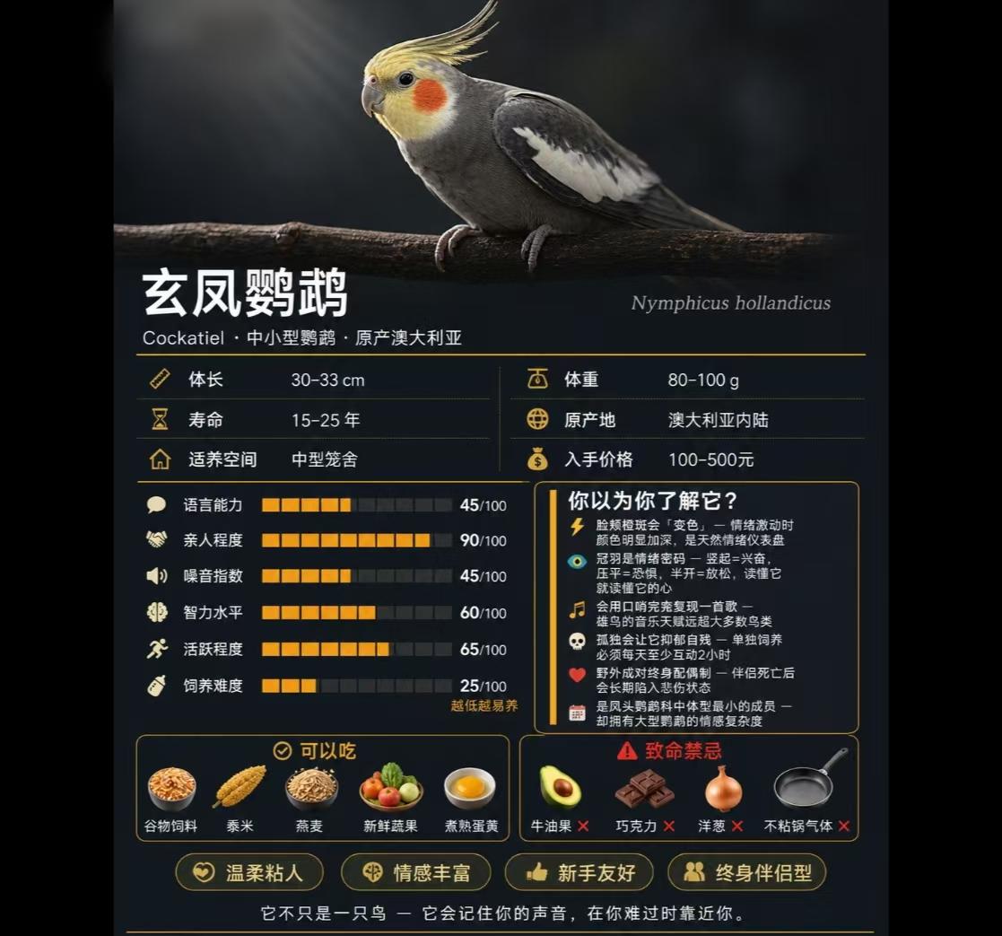 想养小型伴侣鹦鹉，玄凤是闭眼入的优质选择。原产澳大利亚内陆的玄凤，体长30-33