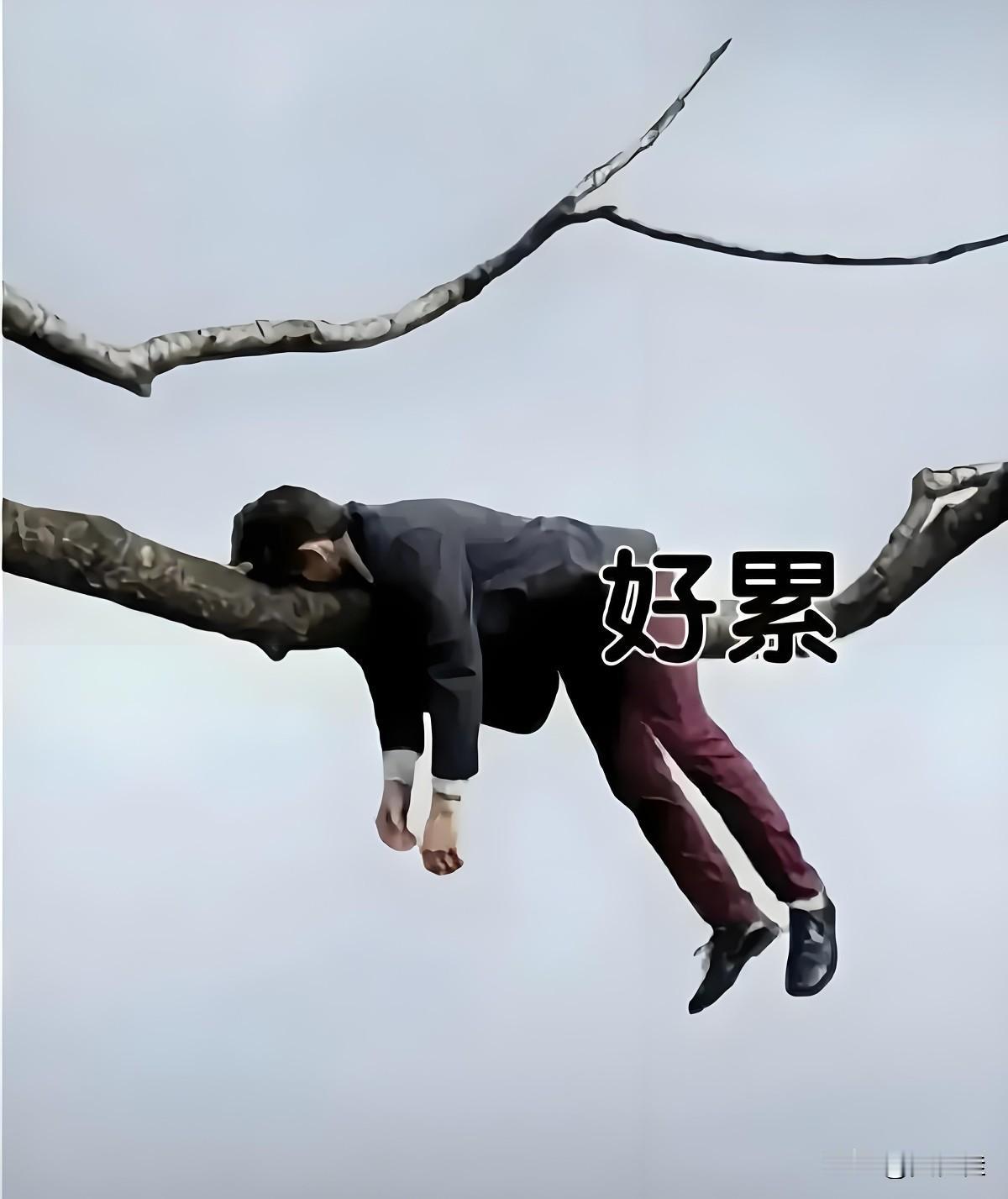 今天的午饭，氛围很紧张！吃午饭时，两个大姑姐向我公公提出了给婆婆请护工的事，公