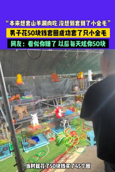 “亏大发了！”10月21日，云南，一男子在夜市花了50元玩套圈，本想套只山羊回家