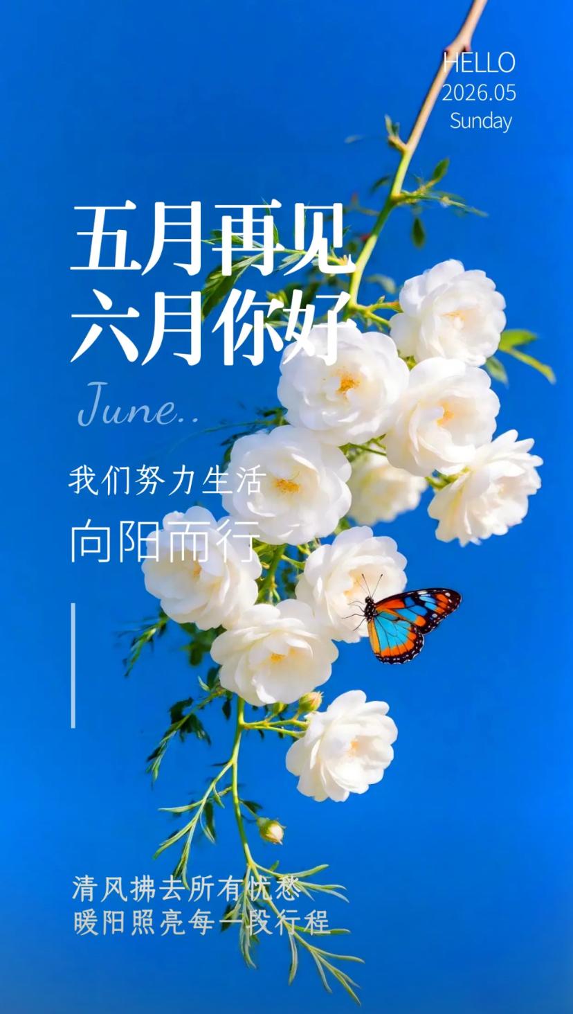 夏晨问安，五月风光存暖意，六月初风载欢歌。2026./5.31.[玫