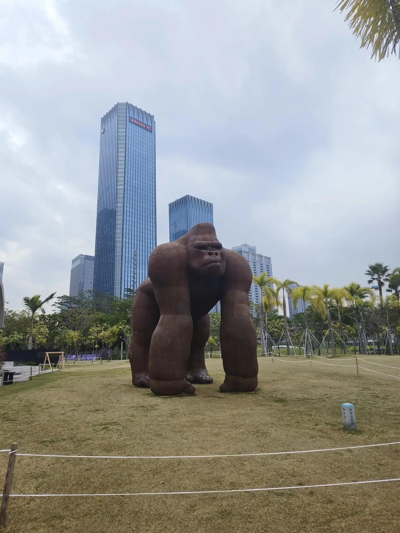 深圳人速看！欢乐港湾前海石公园连通，周末打卡新路线来了作为常年混迹深圳各大