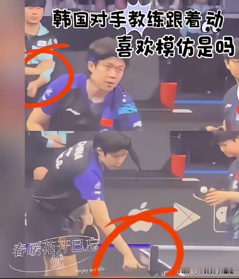 韩国教练把头哥的动作比划给林/申组合看！这段视频有惊人发现，莎头和林/申打混双