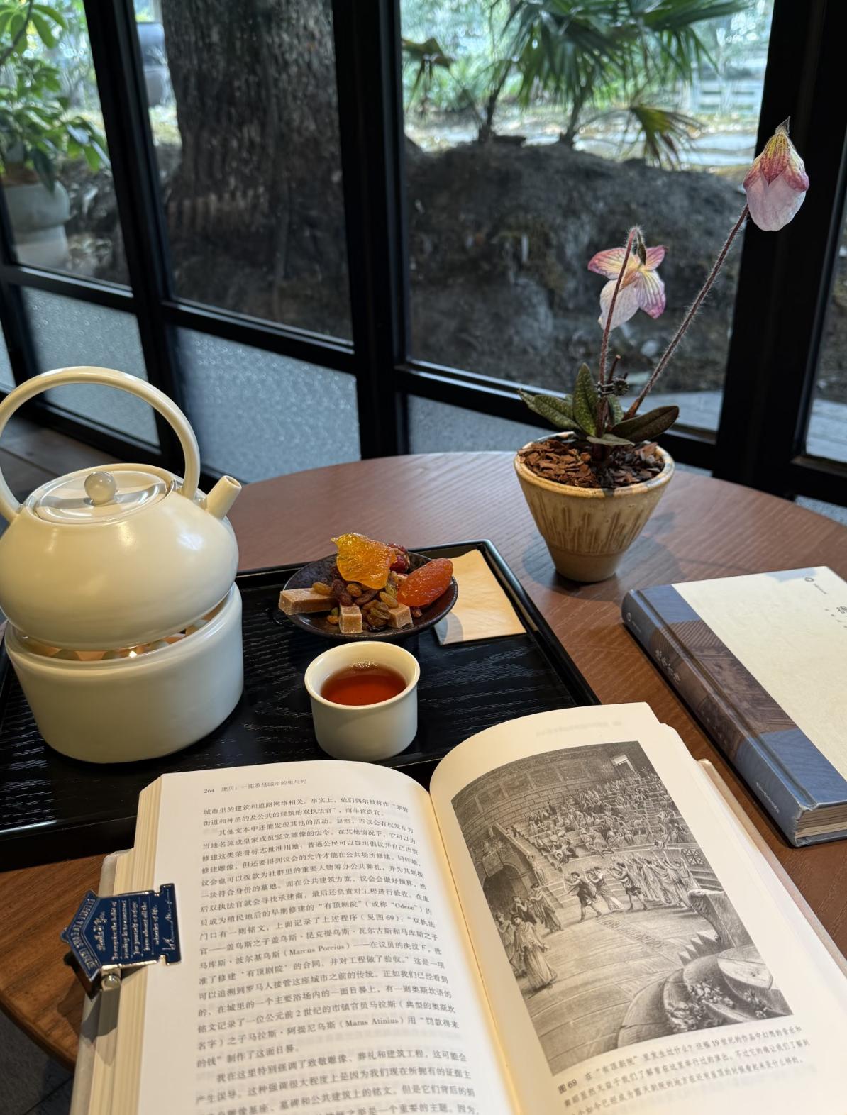 人到了中年，蕞大的清醒，是终于明白读书，才是最省心的消遣。年轻的时候