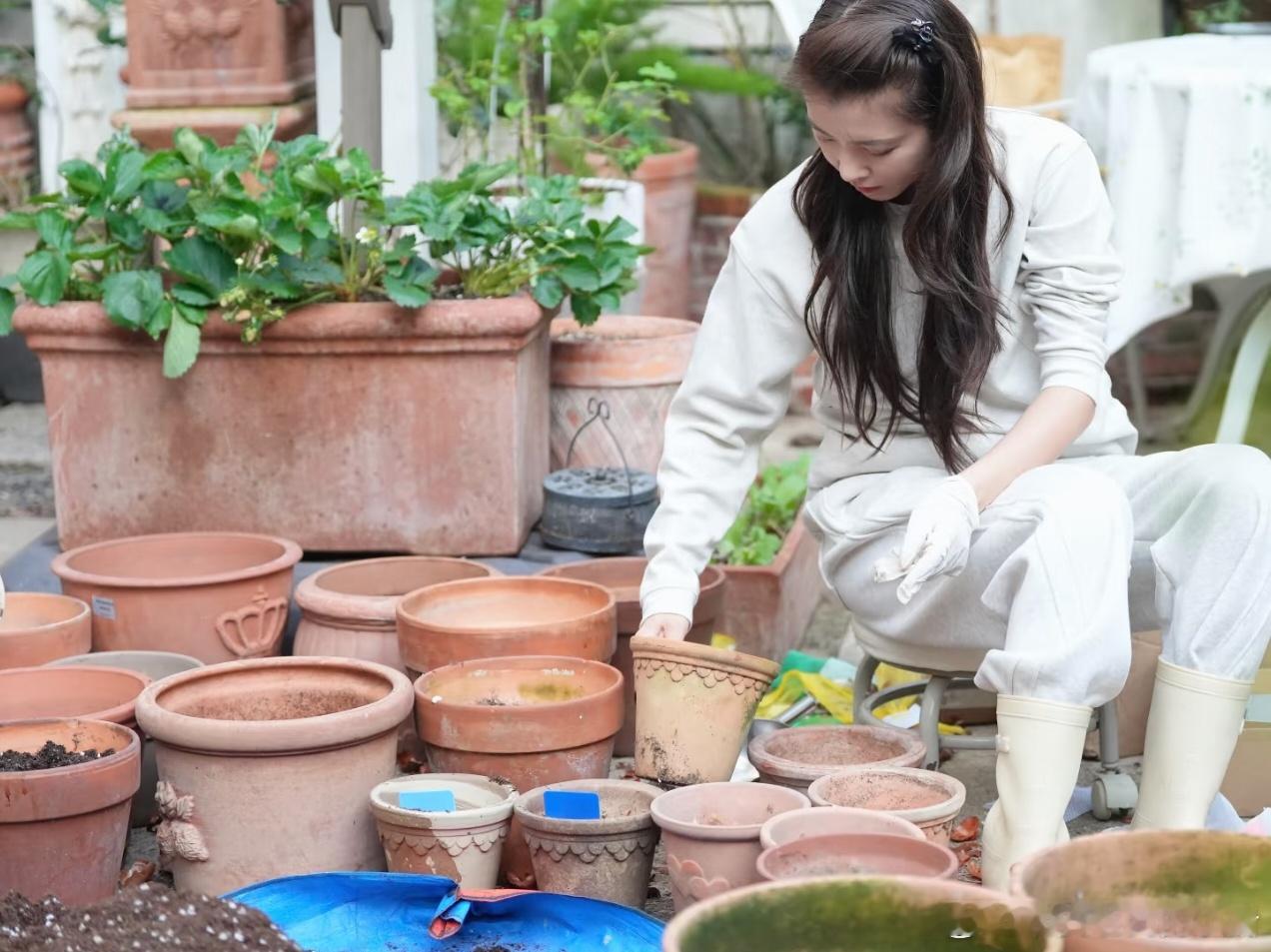 李云霄动手小天才，小花农分享种植的郁金香