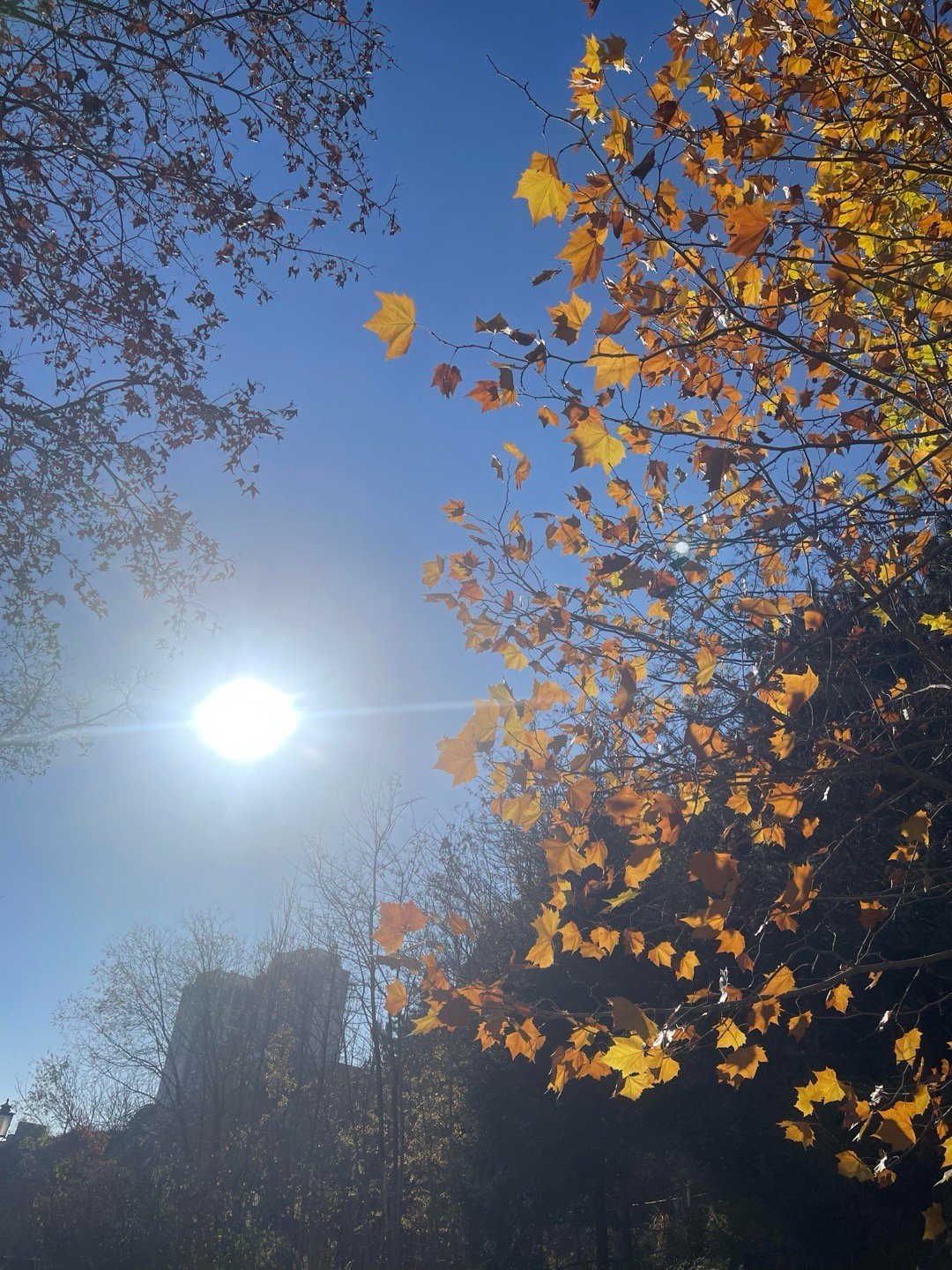 核桃的补阳之力，很多人没有吃到位！冬天，可以吃一些核桃来养肾，主要是养肾阳，但是