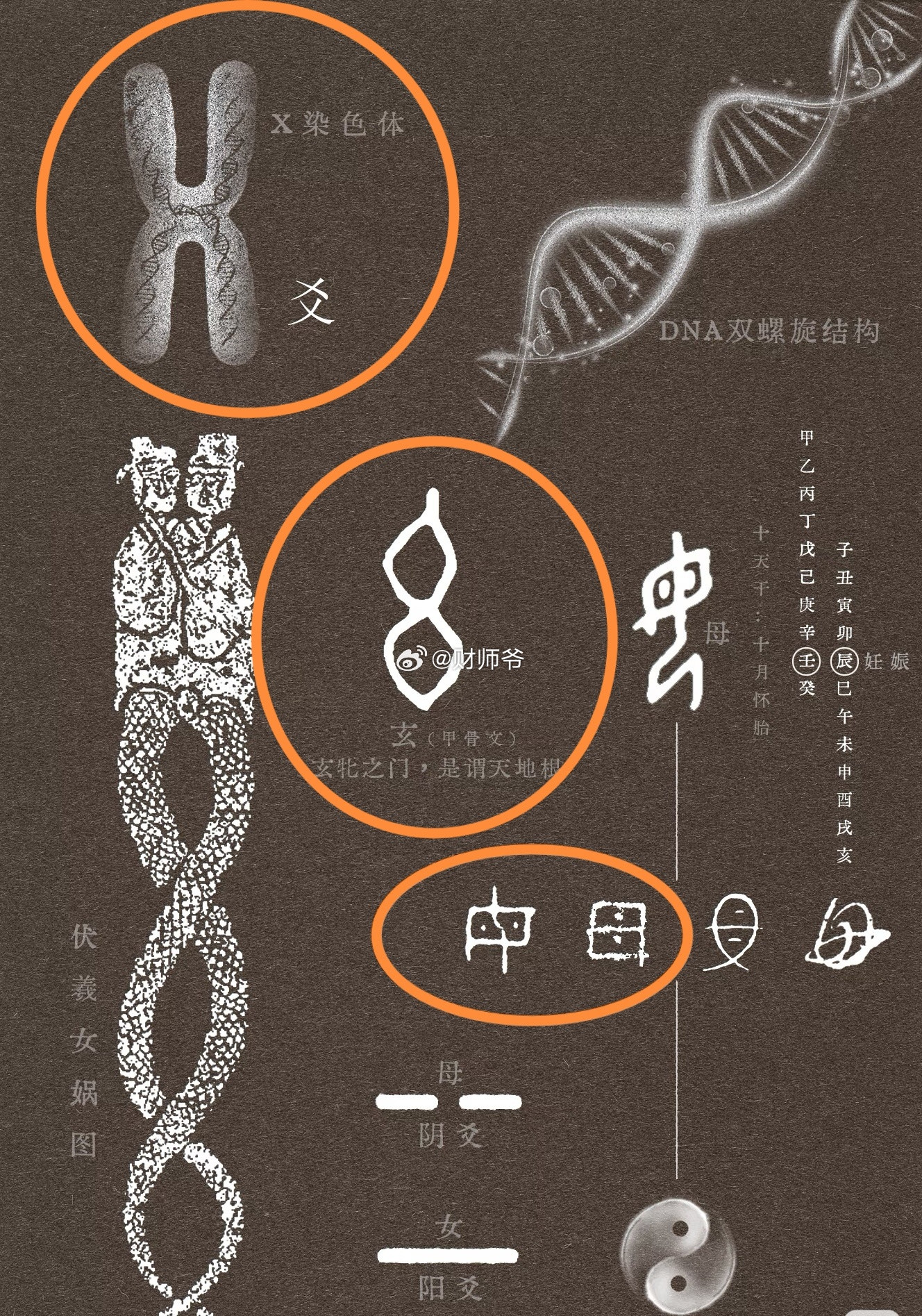 中国古老汉字中藏着人类起源的秘密——“爻”字对染色体，“玄”字对DNA，“母”字