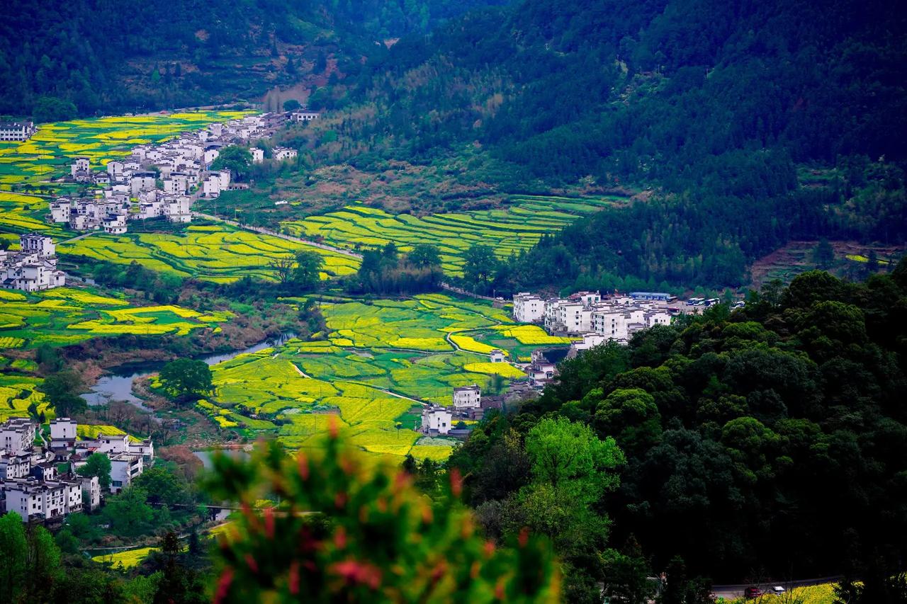 遇到一位南京额高三学生，这次考试成绩不太理想。我便和他闲聊，询问原因，他表示可能