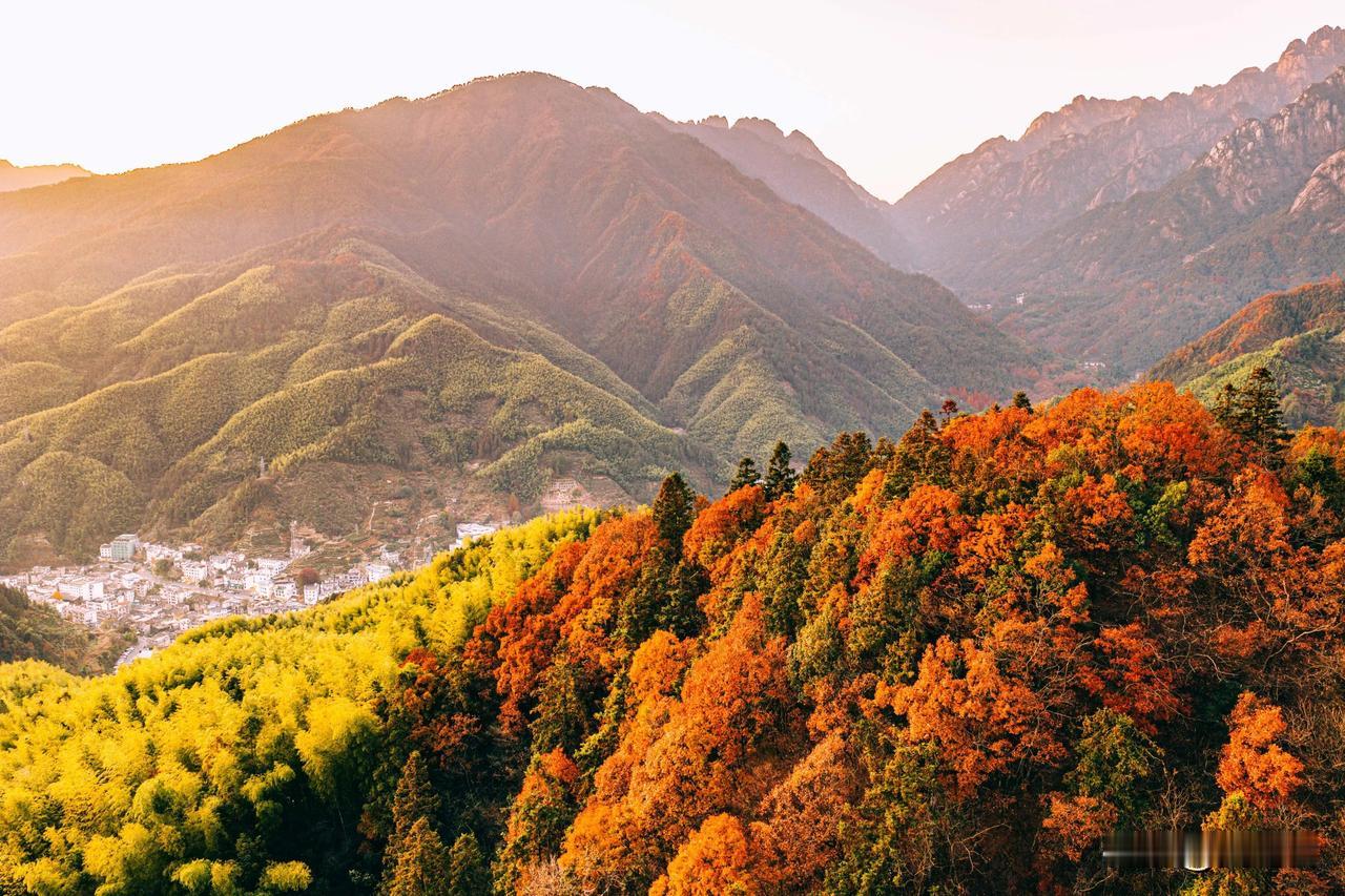现在黄山最美的彩林竟然不在黄山景区里面，而是在黄山南大门外对着的山头。黄山山