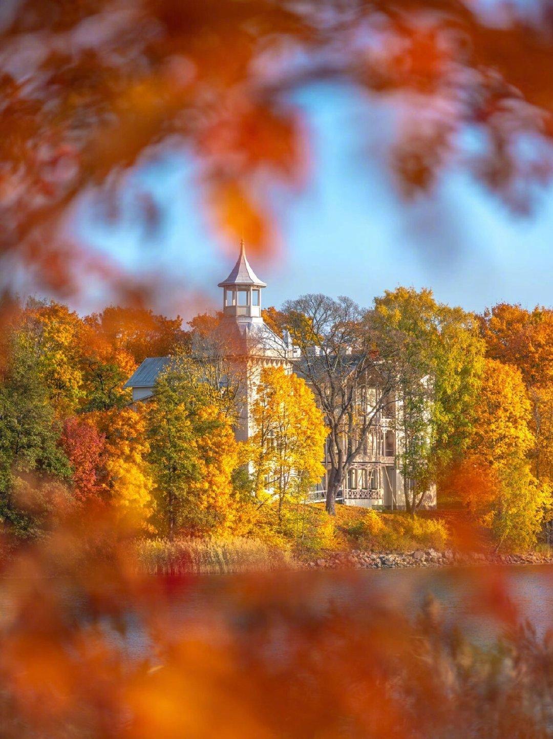 【这里是芬兰】“鲁什卡”（Ruska）是芬兰语中对秋季最诗意的称呼，指的是秋天的