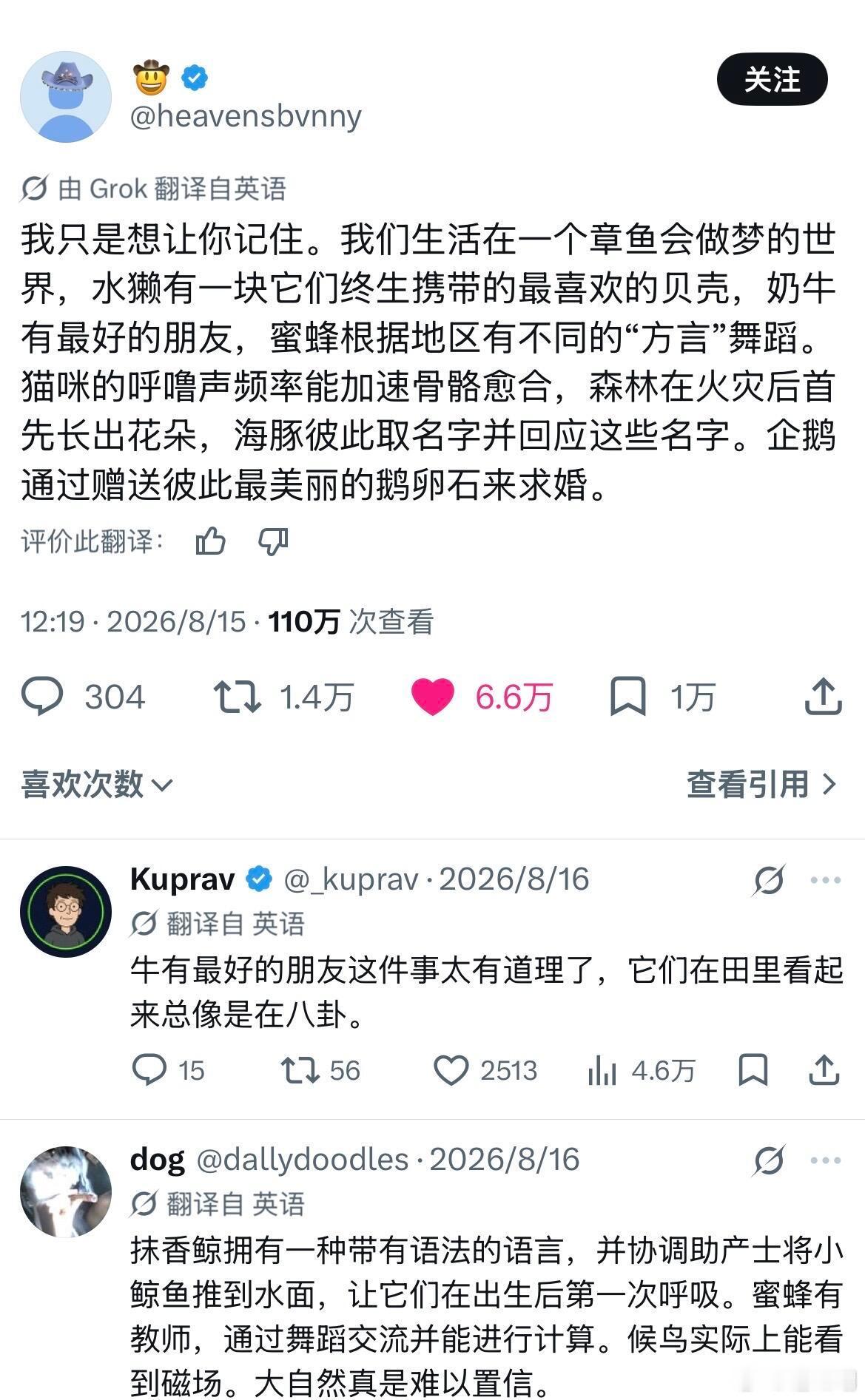 它们都不明白为何人类时好时坏。​​​