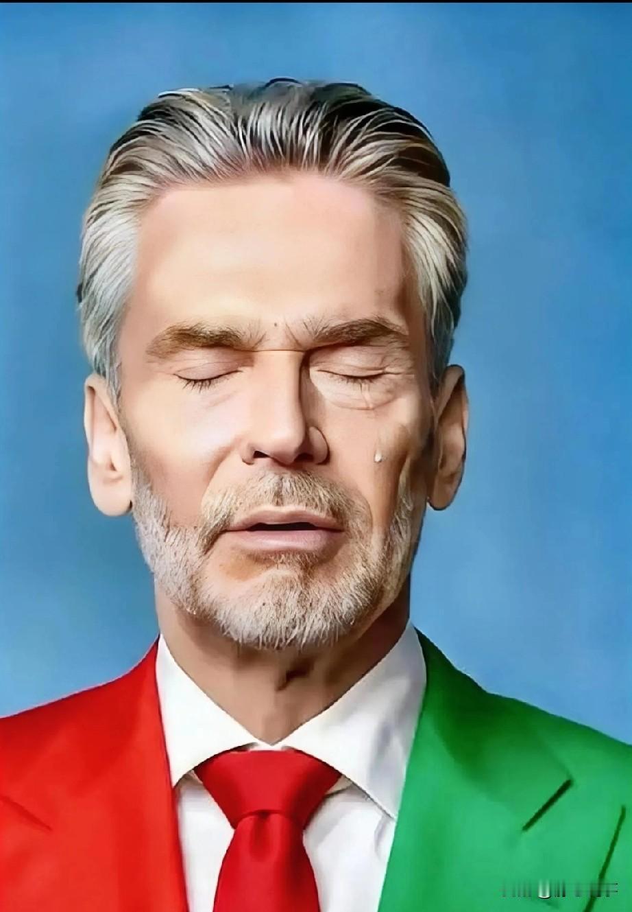 安世中国近日通知经销商，2026年起IGBT功率芯片晶圆全面切换国产，终止与荷兰