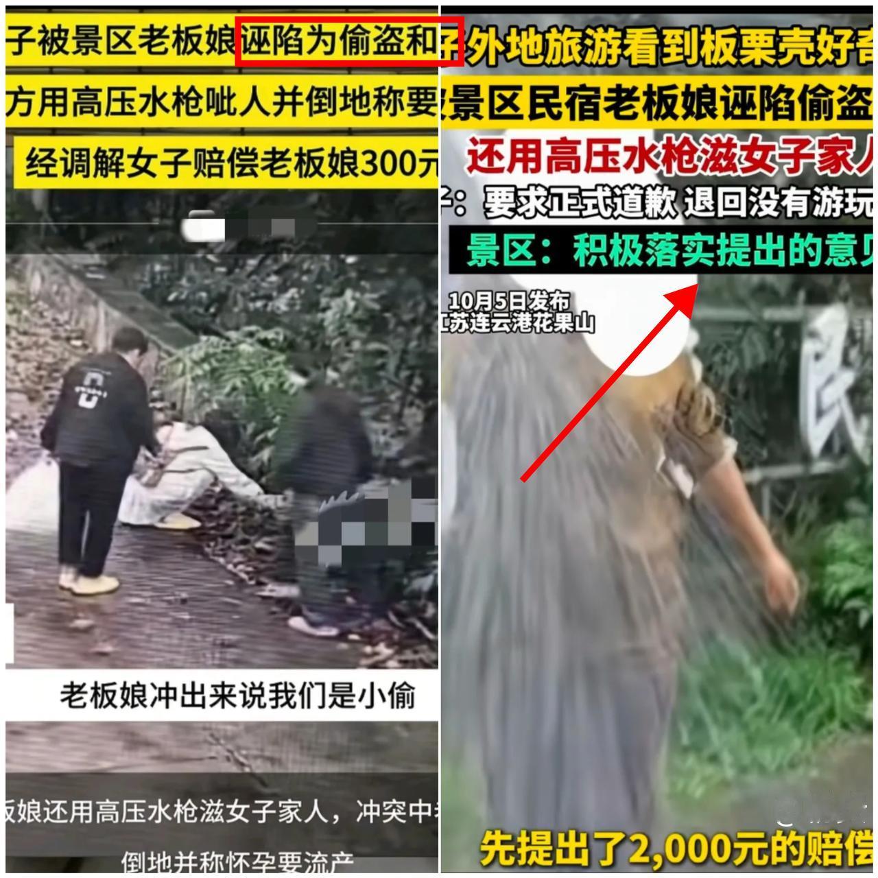 挺无理的！这花果山民宿的“甩锅式回应”，简直把游客当傻子耍！游客捡颗景区