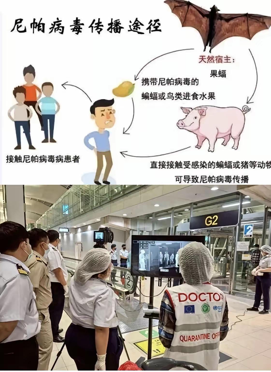 印度西孟加拉邦出现尼帕病毒。印度已经有医生和护士被感染的情况，确诊的人里有1名医