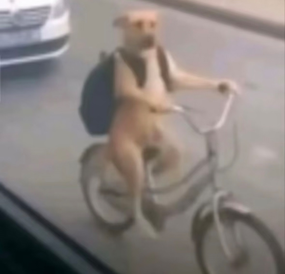 莫名其妙的头像