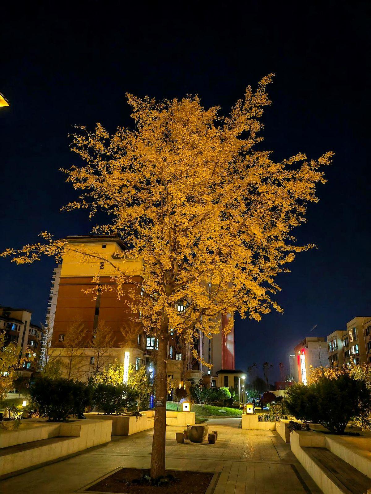 辽篮选外援，咋又整这出？2025年2月官宣签奥利弗，球迷当时就炸了。这哥们儿