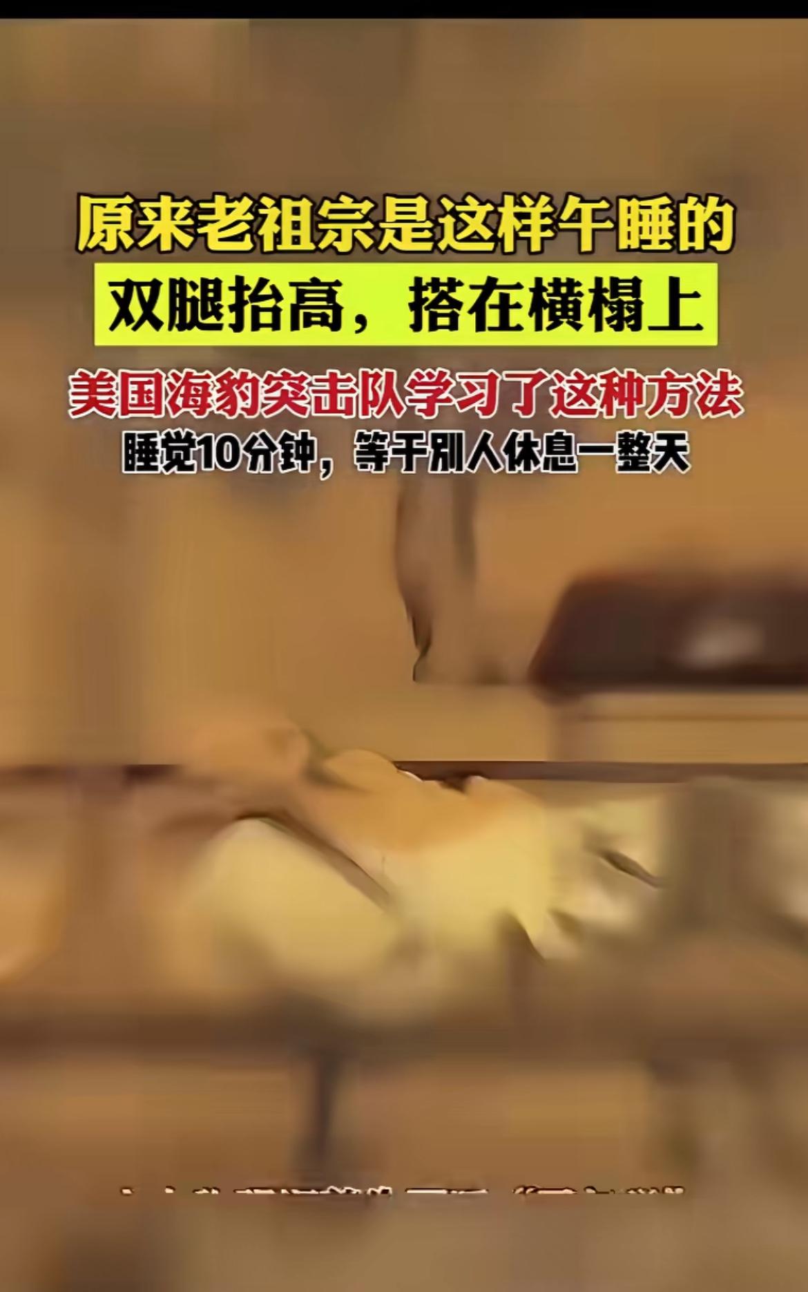 海豹午睡把双腿抬高，这姿势看似随意，实则暗藏养生玄机。海豹突击队有个8分钟休息法