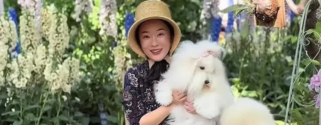 44岁霍思燕京郊豪宅火了，家中种满花草，抱七万宠物狗好贵气！