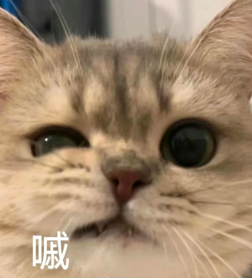 欧洲有位老哥捐精17年，自己健健康康，却悄悄把一颗“癌症地雷”塞进试管，结果一口