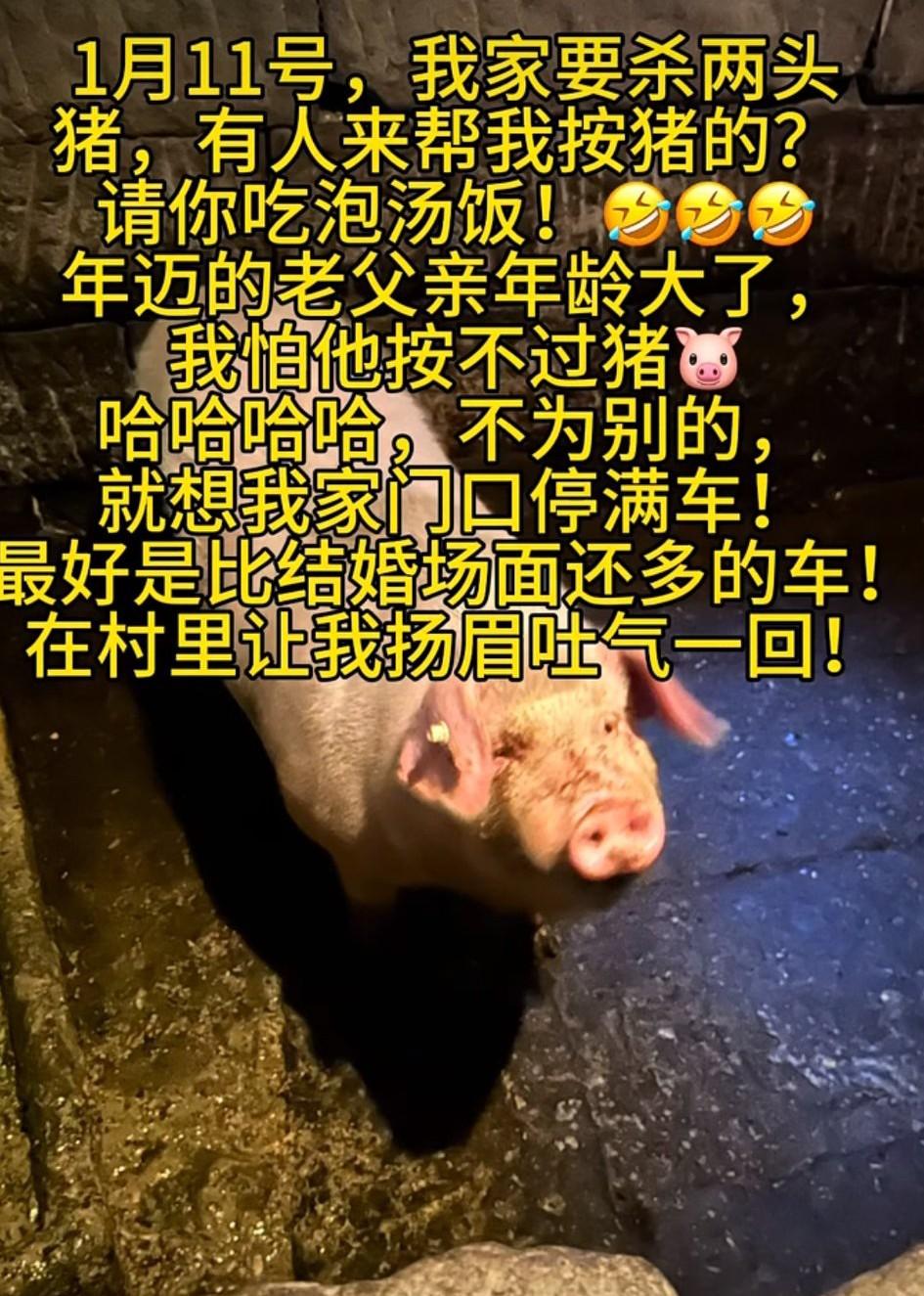网友总结重庆“呆呆请大家吃年猪饭”这个事情:呆呆：闯祸了，吓死了。​文旅：接