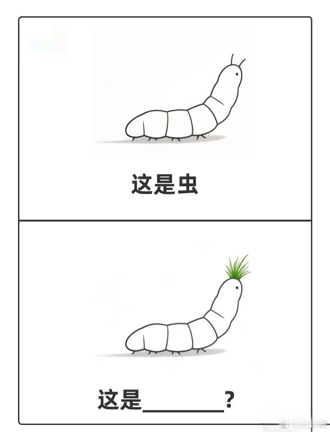 这是什么？一下子变高贵了！​​​