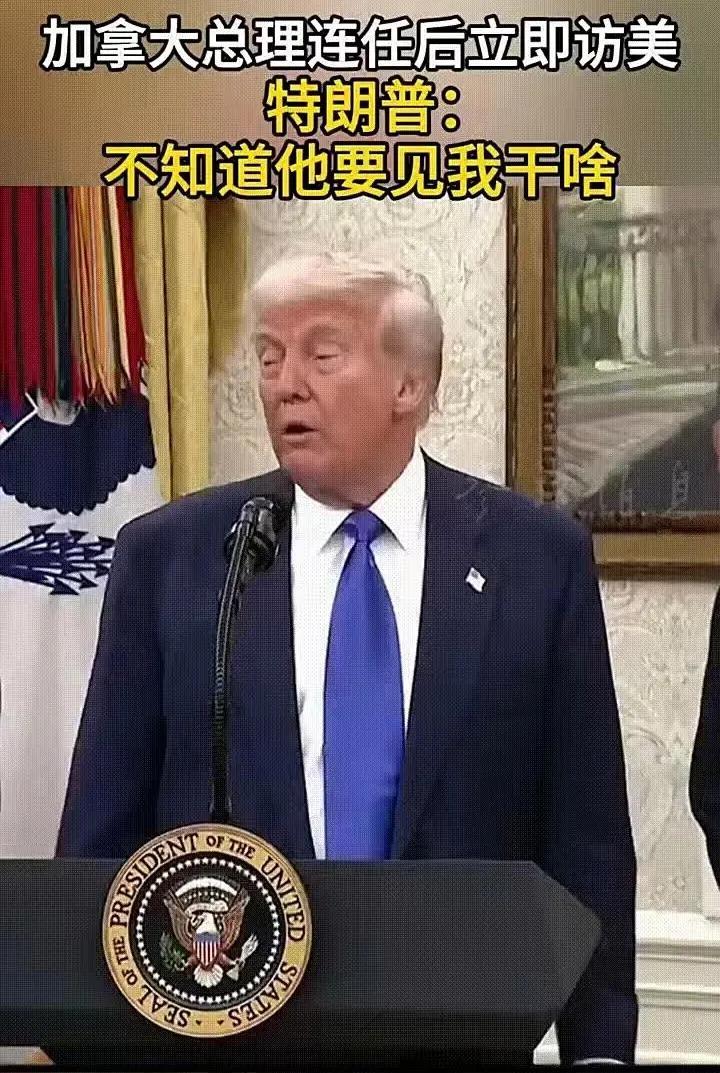 怼王特朗普！俄罗斯庆祝二战胜利，邀请特朗普，特朗普不去；龙国庆祝二战胜利，没