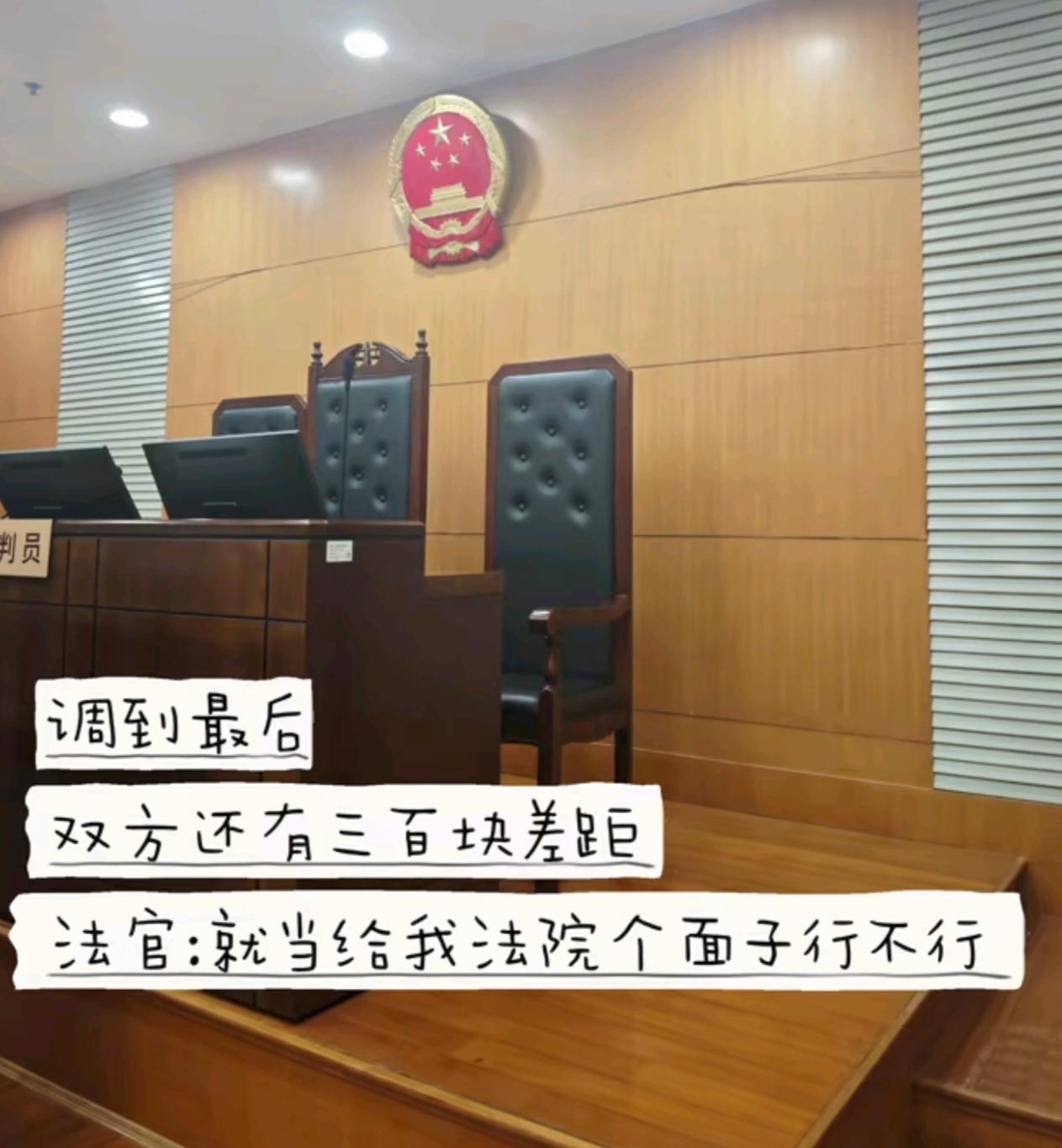 我法院朋友接的案子，双方基本上算调解了，就扯着几十块钱的诉讼费。法官说别扯了