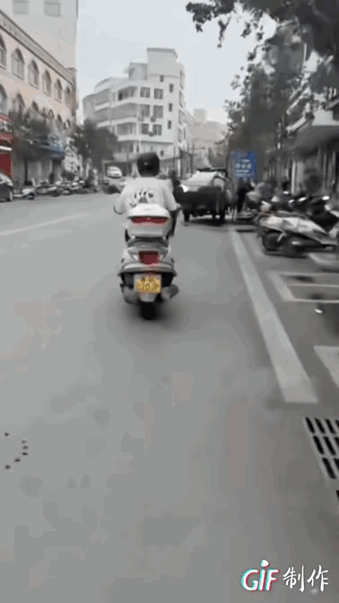 大快人心！茂名街头恶意踹老人的恶徒，终于付出代价！2月14日官方通报来了，3