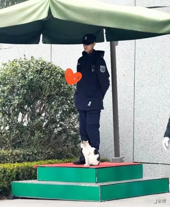 我特别欣赏邻居的儿子，一个普通二本的毕业生，投了上百份简历都石沉大海，但他没