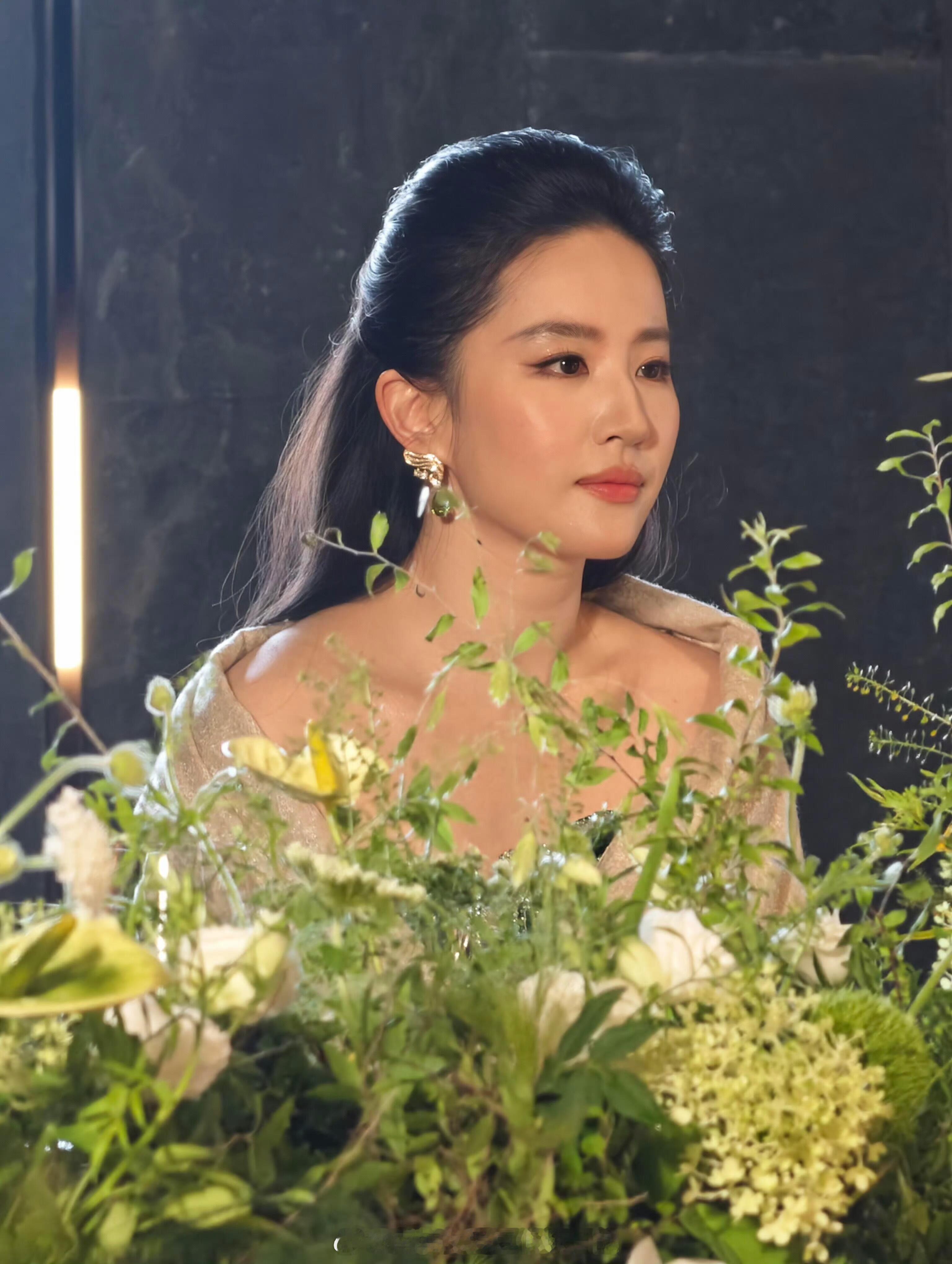 有些人看多了大磨皮大平光大滤镜以及假生图面对刘亦菲真·生图的含金量大约是品不出来