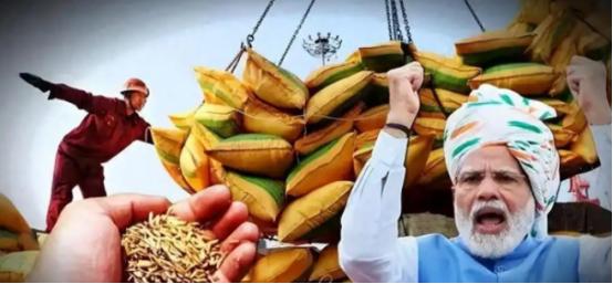 中印两国都顶着14亿人口的盘子，粮食账却算出了截然不同的结果：中国年产7亿吨粮还
