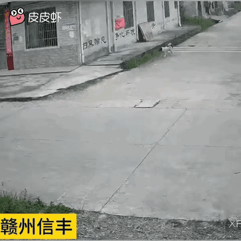 这局怎么破呢？