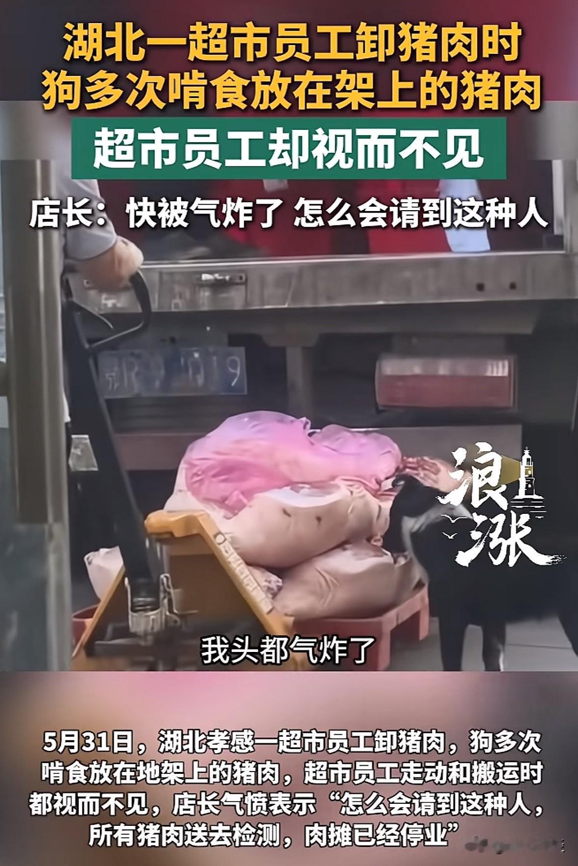 湖北孝感，一超市员工卸猪肉，用拖盘车往超市里运送，期间有一只狗多次啃食放在托盘车